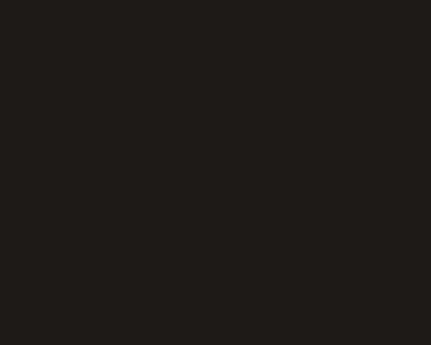 AV 1016 - ĐEN BLACK